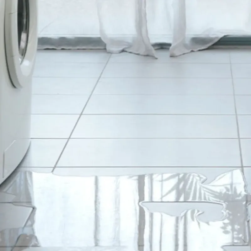 Appliance Leak Cleanup in Fulton, IL
