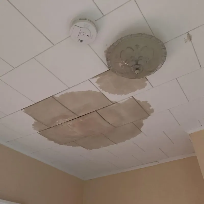 Ceiling Water Damage Repair in Fulton, IL