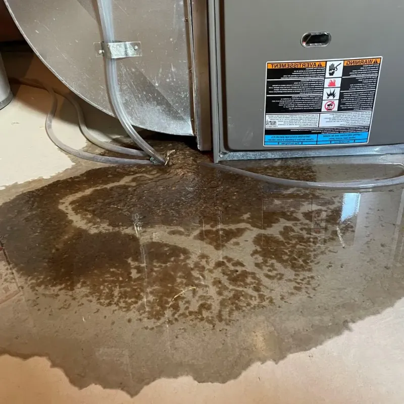 Pipe Burst and Leak Restoration in Fulton, IL