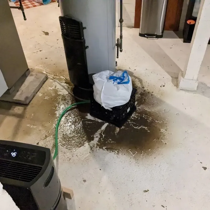 Sewage Backup Cleanup Service in Fulton, IL